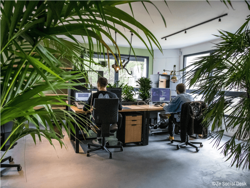 Work With Island -