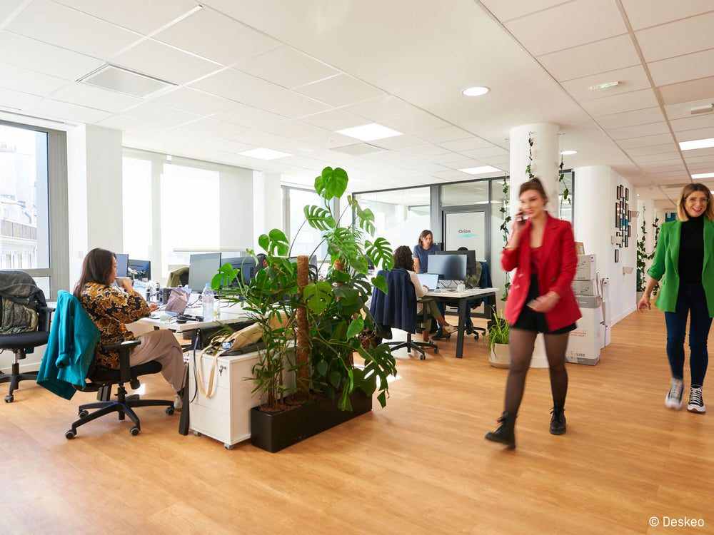La végétalisation des espaces de travail est importante pour le bien-être des employés